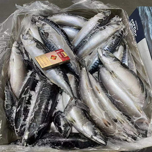 Ų��������l�໨�~500g/�l�r��ԭ�l���~��ռ�~�忾��˾����ʳ��