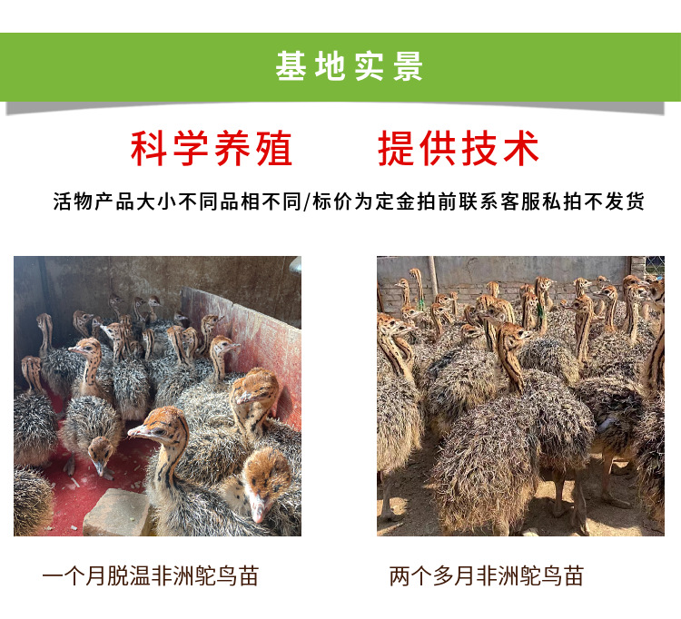 O1CN01Nyfngc1k00e9soUqD_!!3564