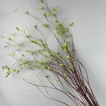 ������֦��ѿ�ٿ�֦���l�Ҿ��b������Gֲܛ�b��ˇ��ķ��滨