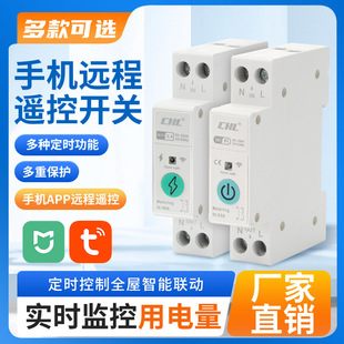 Access Mijia System Tuya 4g Smart Switch Switch Wifi Mobile Phone Remote Control Zigbee