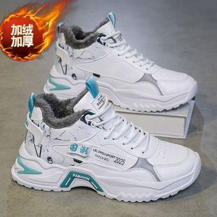 2025�����¿�ߎ���Ь�n�泱�����e�\�Ӽӽq��Ь��Ь�ϵ���Ь��Ь