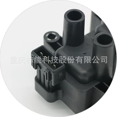 Alovlanma bobini (Babinalar) coil F01R00A025