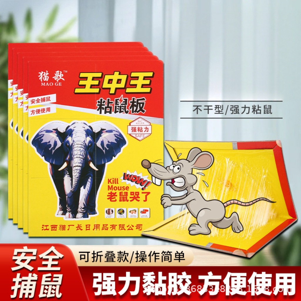 猫哥王中王粘鼠板强力粘鼠超强老鼠贴新款家用强力胶抓杀大老鼠