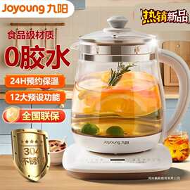 九.阳养生壶办公室小型全自动加厚玻璃保温家用多功能煮茶器烧水