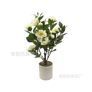 �羳����ٻ�������õ�����҃ȿ͏d�b���ؔ[�����滨�쾰õ�廨