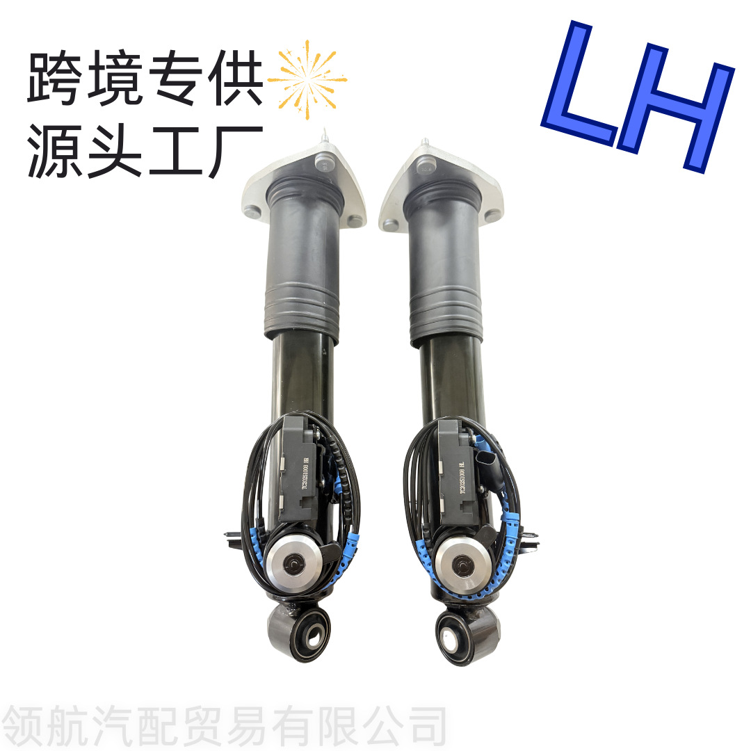 A Pair of Rear Shock Absorbers Vdc Suitable for Bmw X5 E70 X6 E71 2007-14 37126794549