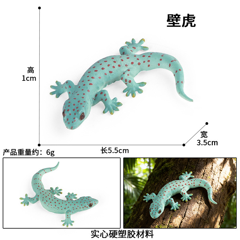 2359 gecko