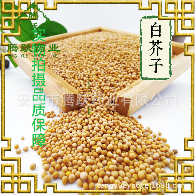 White Mustard Seed Bai Jie Zi 白芥子 Dried Sinapis Alba Seeds Traditional TCM Herb 1kg Bag overview
