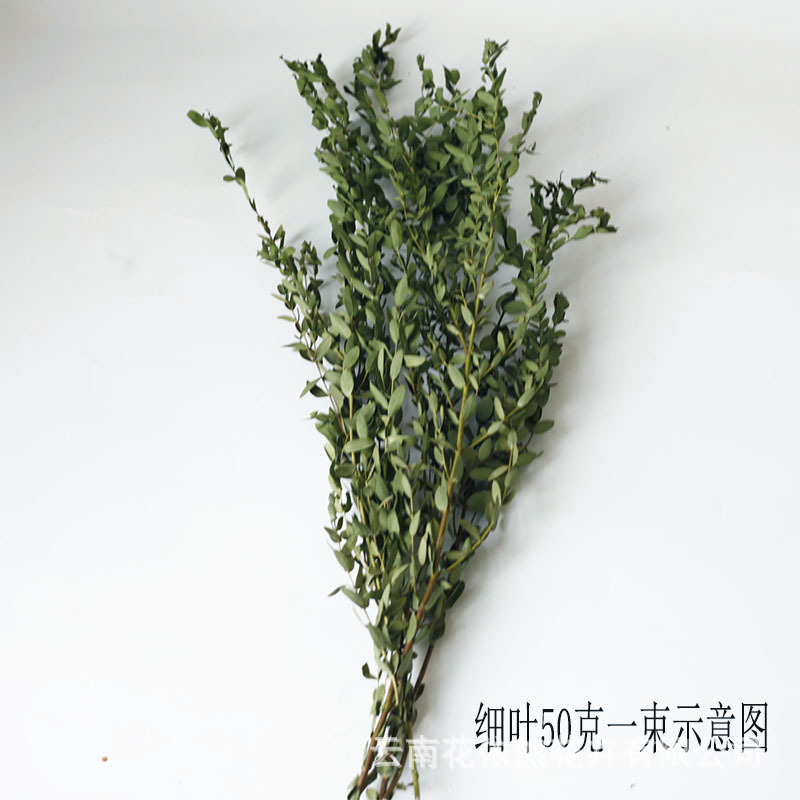 Flor seca Flor eterna Gypsophila Bola de oro No me olvides Flor seca Rosa hoja de eucalipto Pine Fruit Lover Grass al por mayor