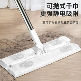 拖把、拖布桶;平板拖把;除毛/粘毛器