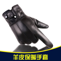 Men's Leather Gloves New Autumn/Winter Outdoor Cycling Fleece Lined Thick Split Leather Women's Lambskin Cotton Gloves Winter