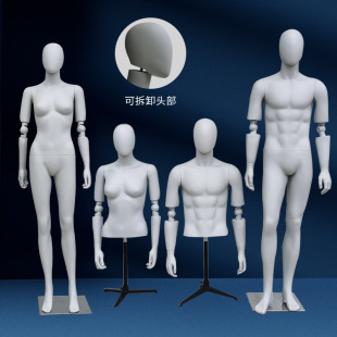 Activity joint model props leisure model Foam glass steel material bracket men's and women's window model