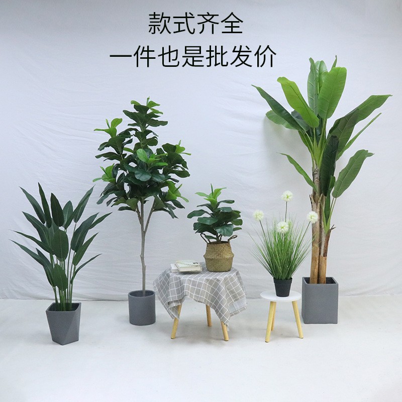 Simulación de plantación verde de plátano de bambú de tortuga grande planta de plantación de ventana interior diseño de ángulo de planta de árbol falso paisajístico