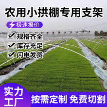 ����С����֧�܌����w�S�U�����r���߲˹��@�����w�S�����ﹰ�U