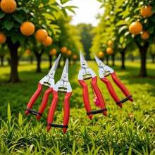 �F؛�@ˇժ���� �����������ь����h��ʡ�����P䓼� ���@��ժ����