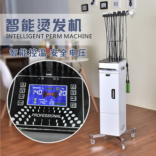 Hair Salon Hairdressing Perm Machine Digital Perm Machine Intelligent Constant Temperature Ceramic Perm with Cord Box 24V Hair Salon Hairdressing