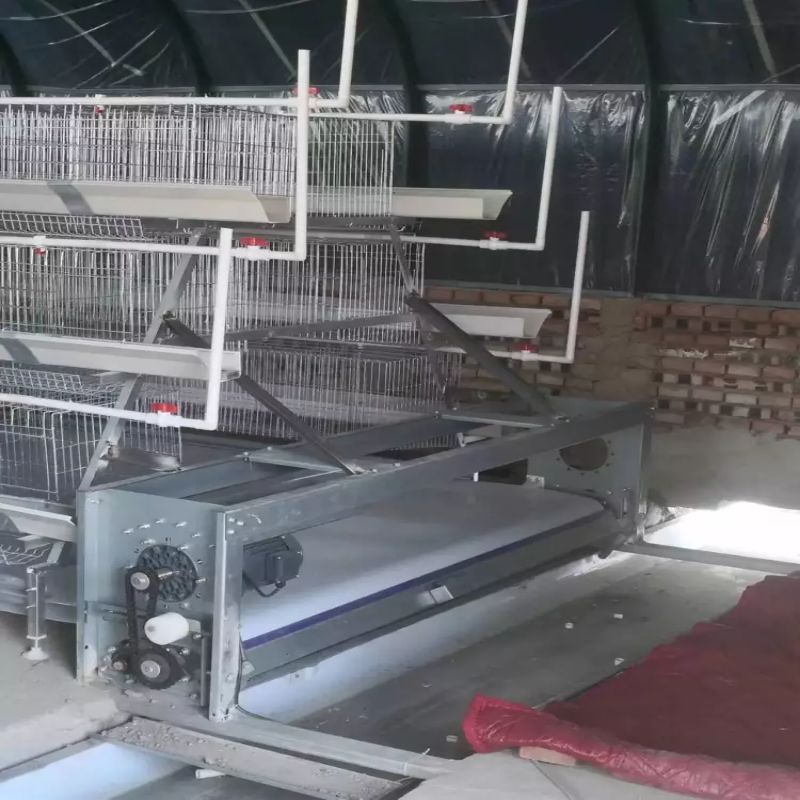 养殖设备养殖清粪带阶梯蛋鸡养殖设备自动化养鸡设备全自养鸡笼子