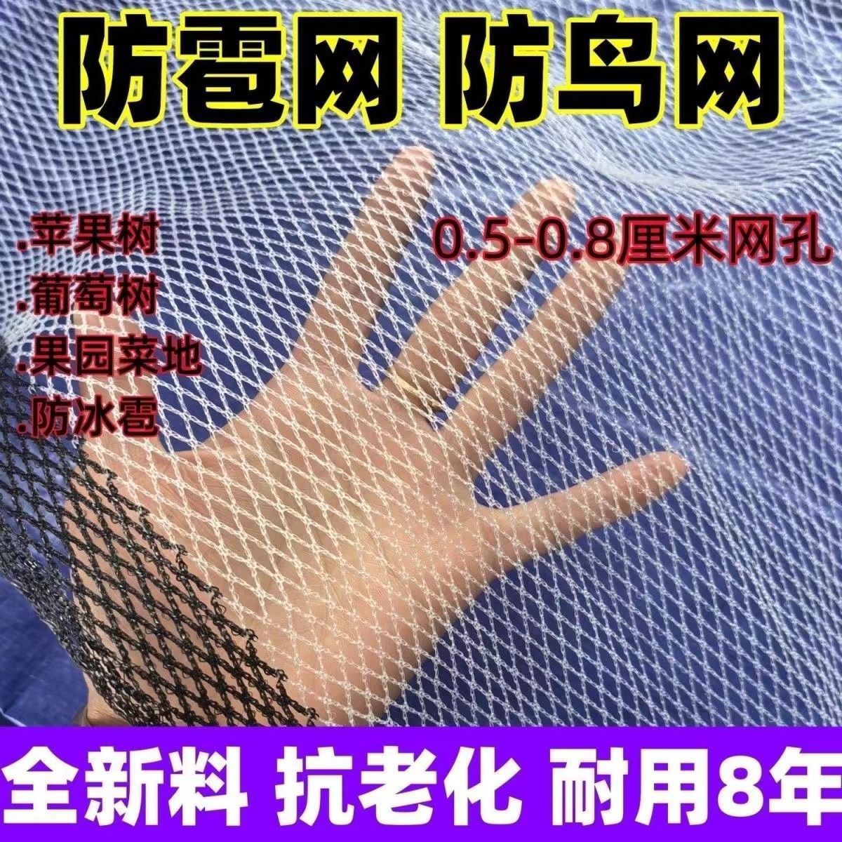 防雹网果园农用防冰雹网葡萄户外防鸟网防冰雹网厂家直销批发
