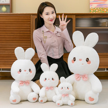 2022�¿�ɐ۴���С���ӹ��Є�������I�Y����ż��ͯ������նY��