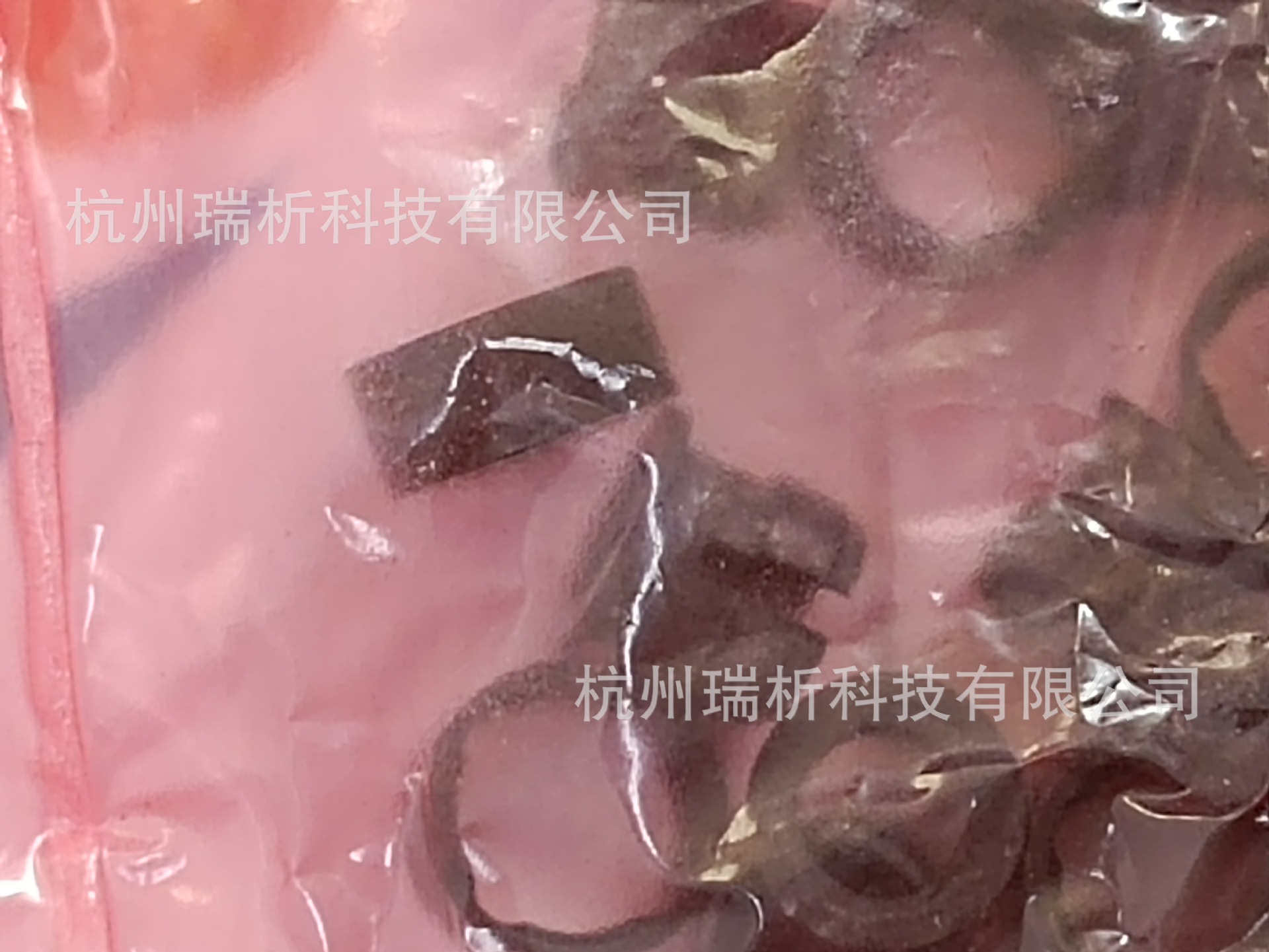 11880036   CLIP & RING