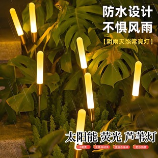 �羳̫���ĥɰ�ɹ��ͥԺ���@�̨�b��JȔ��ز�ƺ�����þ��^��