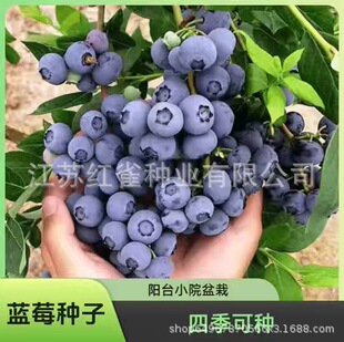�{ݮ�N���ϱ��Nֲ�ļ��̨���Թ��@ͥԺ�{÷�����N�Ӻ��β��N-j