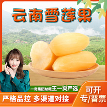 【严选】云南雪莲果 代发3斤天山黄心雪莲薯脆甜多汁新鲜孕妇水果