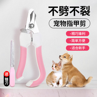 Dog Nail Cutters Cat Nail Clippers Pet Special Scissors Nail Cutter Nail Clipper suit Nail Grinder Supplies