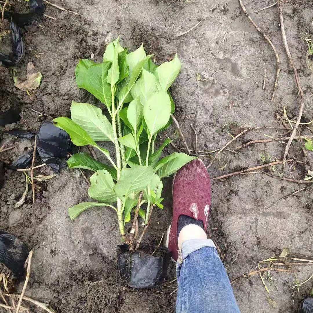 2024-03-26 11:28:21.jpg