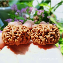 ������Ұ��{������Ӑ���ĥ�P�����Ǫ{���^Ұ�������O���@�����V