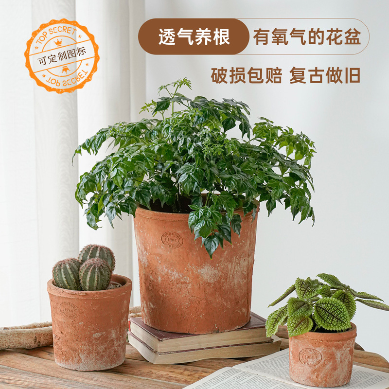 Retro-Style Coarse Pottery Pots for Small Flowers, Garden Balcony Succulent Pots, Breathable Clay Pots That Absorb Water, Cement Tile Pots, Flower Stands, and Flower Planting Pots Retro-Style Coarse Pottery Pots for Small Flowers, Garden Balcony Succulent Pots, Breathable Clay Pots That Absorb Water, Cement Tile Pots, Flower Stands, and Flower Planting Pots