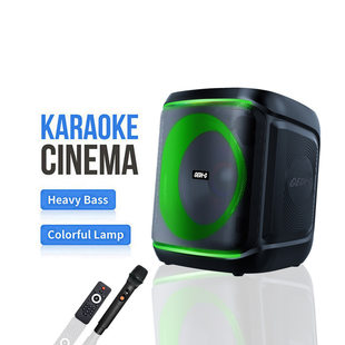 (Cross-border trading), handheld speakers, high power, bluetooth, 8 inch