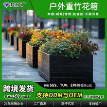 �S��ֱ�N��������ľ���� �������̏V�����@��·�ؽ����û��� ���s