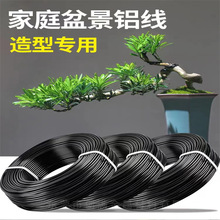 �辰���Ό����X�z����10��/���ֹ���֦���α�ɫ/��ɫ��ܛ�߼��X��