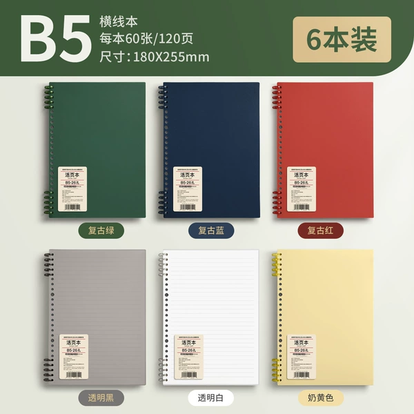 B5•6 books • Green + Yellow + Red + Blue + White + Transparent Black Each book has 120 pages
