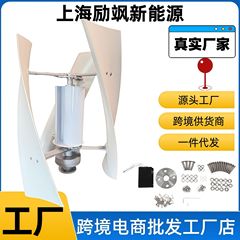 メーカー直販垂直軸風力発電機100-300w磁気浮上風力発電機微風起動