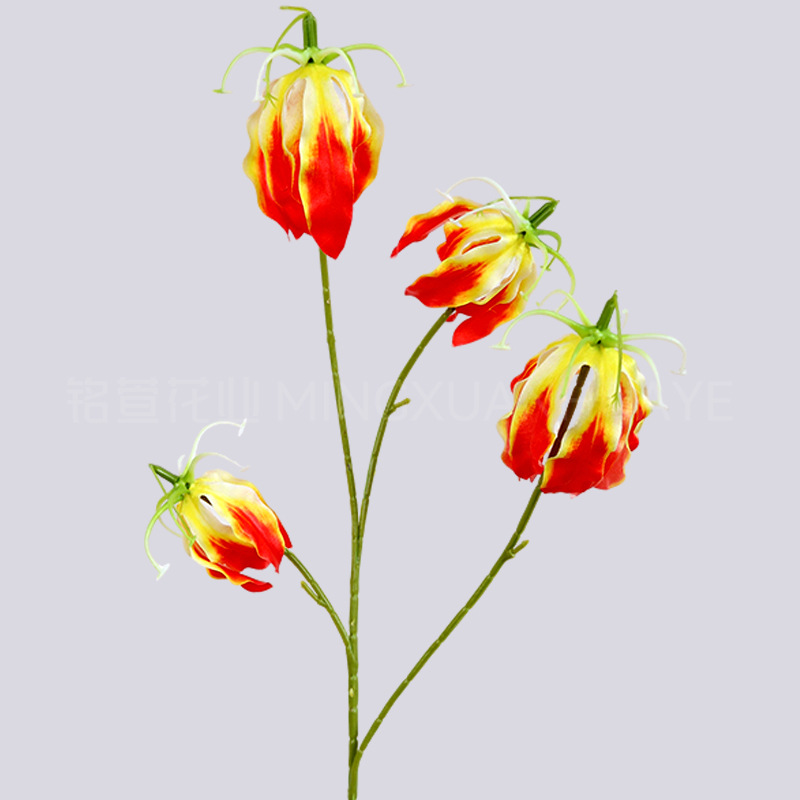 불꽃 백합 레드 3호