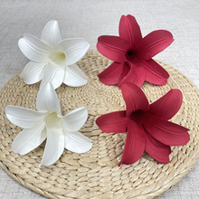 �a��؛Դ ���滨 EVA�F�ڰٺϻ��^ ��c·���b� �Ҿ�ܛ�b�b�