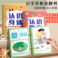 识字安静书3-6岁早教启蒙认字粘贴书游戏撕拉书幼儿儿童益智玩具