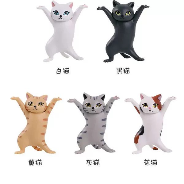 Cat lifting 5 pack