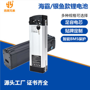 ����48V늄�܇�늳�36V20ah�� �y�~���ۯB����܇48V10ah�늳�