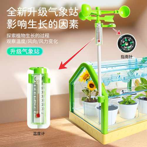Planting DIY vegetable and flower observation science experiment set for kindergarteners, vegetable planting pot for 6-year-olds