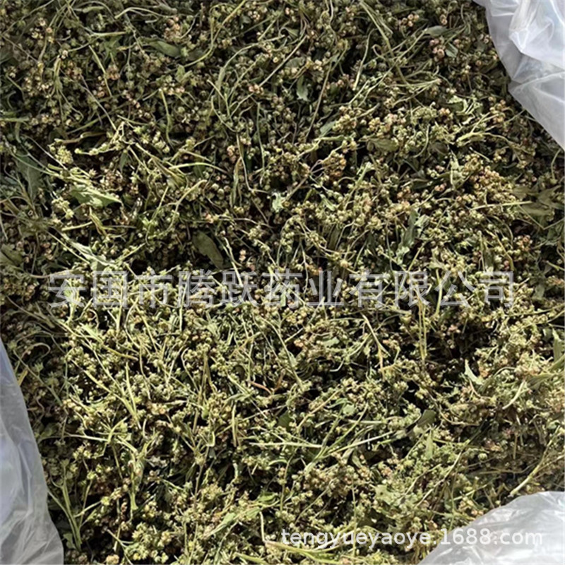 Gan Huang Cao Dried Penthorum chinense Herb Sichuan Whole Plant 500g Bag key features