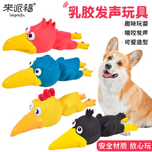 �������z��߼����B��ͨȤζ���^�u����u�����l������z�u���l