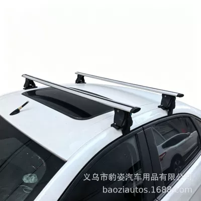 Dance V5 Lingzhi V6 Ling Shi: Roof rack