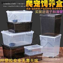 人渣盒爬虫箱螳螂跳蛛养蚕饲养盒爬行动物睫角寄居蟹饲养箱