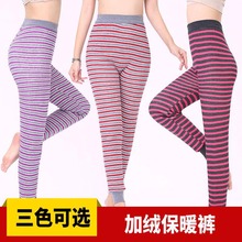 现货加厚秋裤女士双面驼绒打底裤加绒保暖棉裤冬季棉毛裤加工
