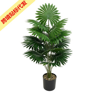 �羳�������R�d����Gֲ�ȿ��ؙ��~�٘��쾰�Gֲ�����҃��b��쾰