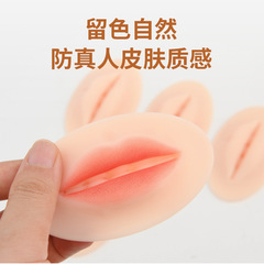 European Fog Lip Permanent Makeup Simulation Silicone Solid Lip Block for Semi-Permanent Practice — Beginner's Training Tool & Learning Resource