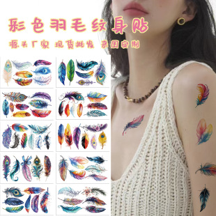 10���羳�¿��⻨�ۼy���NĘ�N��ˮ��ë�ֱۼy���N���F؛���l